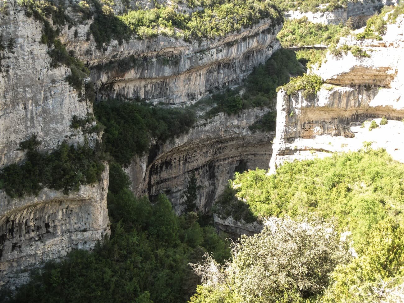 Paysage rio vero