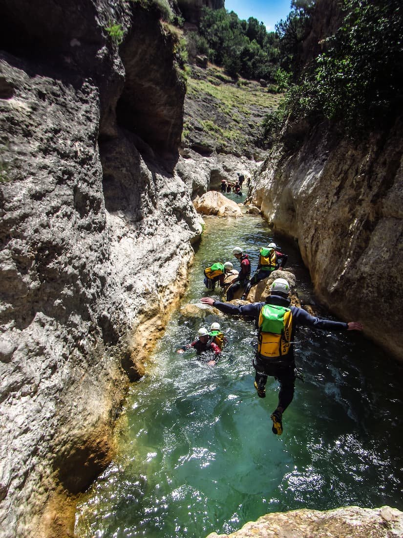 Saut dans le formiga