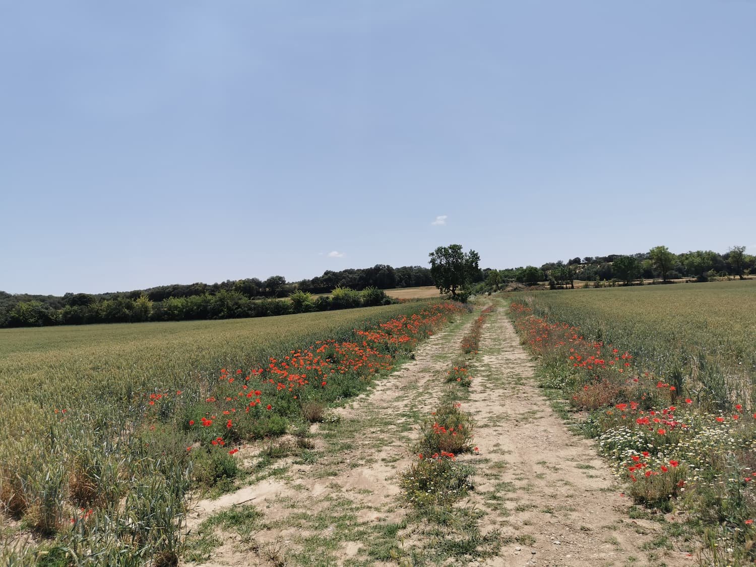 chemin de la sierra de guara pour le vtt